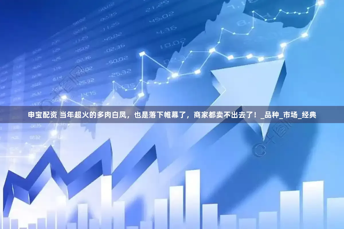 申宝配资 当年超火的多肉白凤，也是落下帷幕了，商家都卖不出去了！_品种_市场_经典