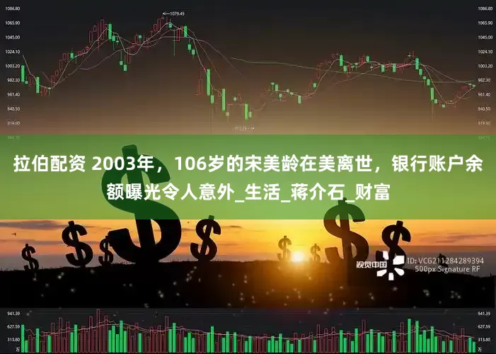 拉伯配资 2003年，106岁的宋美龄在美离世，银行账户余额曝光令人意外_生活_蒋介石_财富