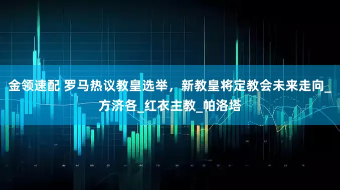 金领速配 罗马热议教皇选举，新教皇将定教会未来走向_方济各_红衣主教_帕洛塔