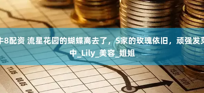 牛8配资 流星花园的蝴蝶离去了，S家的玫瑰依旧，顽强发芽中_Lily_美容_姐姐